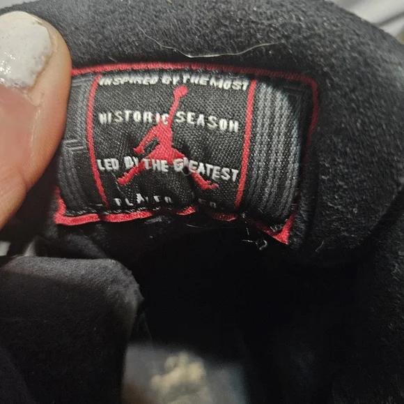Air Jordan 11s In Good Condition